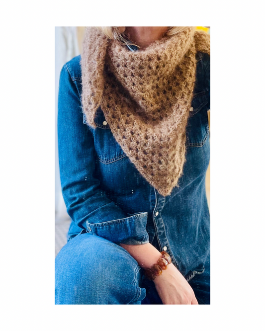 6-Le NUAGE de Normandie- Camel